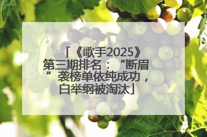 《歌手2025》第三期排名：“断眉”袭榜单依纯成功，白举纲被淘汰