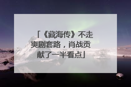 《藏海传》不走爽剧套路，肖战贡献了一半看点