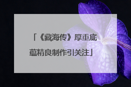 《藏海传》厚重底蕴精良制作引关注