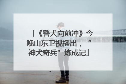 《警犬向前冲》今晚山东卫视播出，“神犬奇兵”炼成记