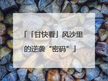 「甘快看」风沙里的逆袭“密码”