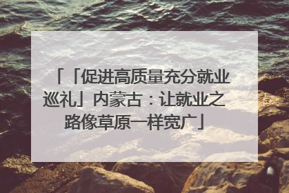 「促进高质量充分就业巡礼」内蒙古：让就业之路像草原一样宽广