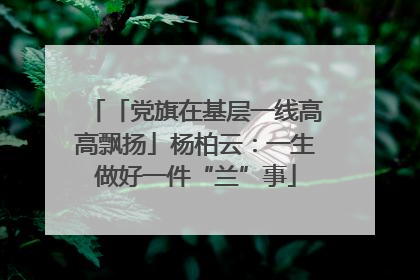 「党旗在基层一线高高飘扬」杨柏云：一生做好一件“兰”事