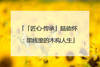 「匠心·传承」陆德怀：墨线里的木构人生
