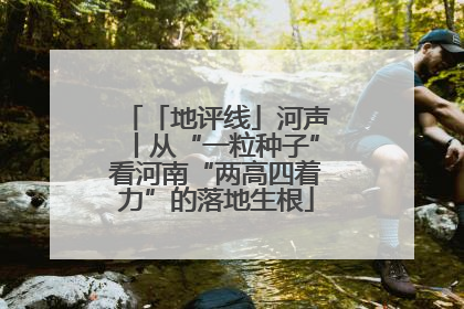 「地评线」河声丨从“一粒种子”看河南“两高四着力”的落地生根