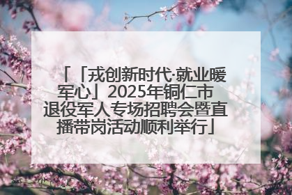 「戎创新时代·就业暖军心」2025年铜仁市退役军人专场招聘会暨直播带岗活动顺利举行