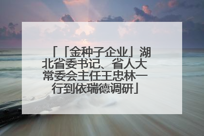 「金种子企业」湖北省委书记、省人大常委会主任王忠林一行到依瑞德调研