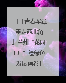 「青春华章·重走西北角」兰州“花园工厂”绘绿色发展画卷