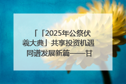 「2025年公祭伏羲大典」共享投资机遇 同谱发展新篇——甘肃省文旅产业链招商引资推介会侧记