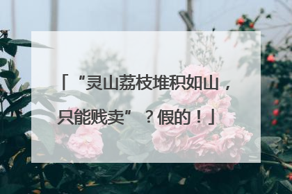 “灵山荔枝堆积如山，只能贱卖”？假的！