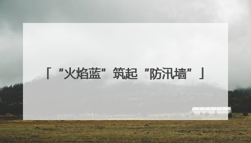 “火焰蓝”筑起“防汛墙”