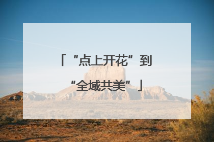 “点上开花”到“全域共美”