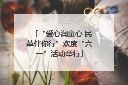 “爱心润童心 民革伴你行”欢度“六一”活动举行