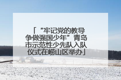 “牢记党的教导 争做强国少年”青岛市示范性少先队入队仪式在崂山区举办