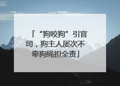 “狗咬狗”引官司，狗主人屡次不牵狗绳担全责