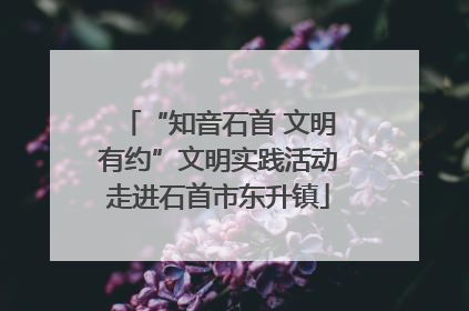“知音石首 文明有约”文明实践活动走进石首市东升镇