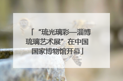 “琉光璃彩—淄博琉璃艺术展”在中国国家博物馆开幕