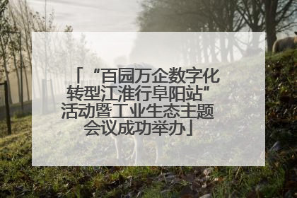 “百园万企数字化转型江淮行阜阳站”活动暨工业生态主题会议成功举办