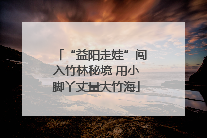 “益阳走娃”闯入竹林秘境 用小脚丫丈量大竹海