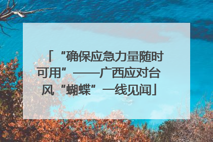 “确保应急力量随时可用”——广西应对台风“蝴蝶”一线见闻