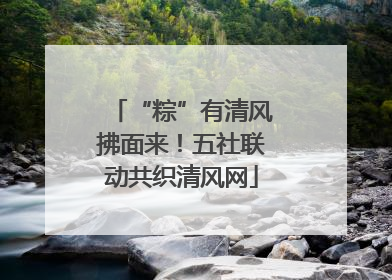 “粽”有清风拂面来！五社联动共织清风网
