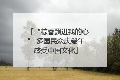 “粽香飘进我的心” 多国民众庆端午感受中国文化