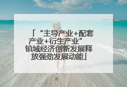 “主导产业+配套产业+衍生产业” 镇域经济创新发展释放强劲发展动能