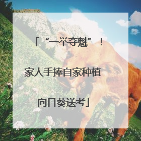 “一举夺魁”！家人手捧自家种植向日葵送考