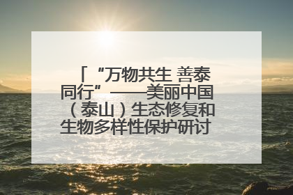 “万物共生 善泰同行”——美丽中国（泰山）生态修复和生物多样性保护研讨会成功举办