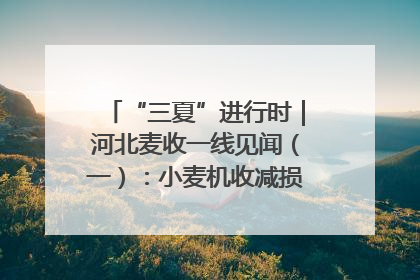“三夏”进行时｜河北麦收一线见闻（一）：小麦机收减损“竞技” 农机高手麦田“过招”