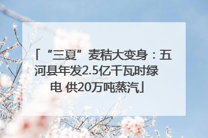 “三夏”麦秸大变身：五河县年发2.5亿千瓦时绿电 供20万吨蒸汽