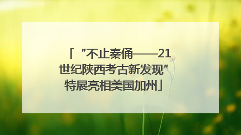 “不止秦俑——21世纪陕西考古新发现”特展亮相美国加州