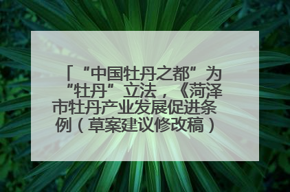 “中国牡丹之都”为“牡丹”立法，《菏泽市牡丹产业发展促进条例（草案建议修改稿）》公开征求意见