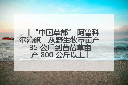 “中国草都” 阿鲁科尔沁旗：从野生牧草亩产 35 公斤到苜蓿草亩产 800 公斤以上