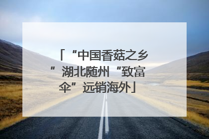 “中国香菇之乡”湖北随州“致富伞”远销海外