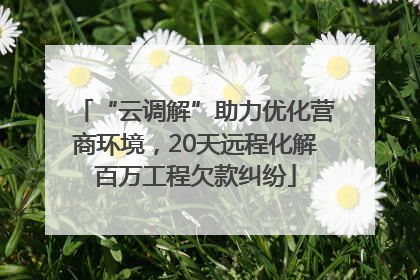 “云调解”助力优化营商环境，20天远程化解百万工程欠款纠纷