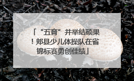 “五育”并举结硕果！郏县少儿体操队在省锦标赛勇创佳绩