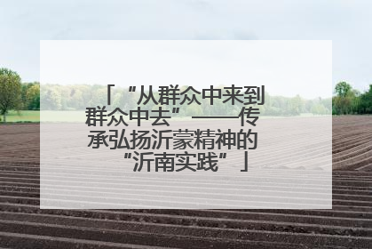 “从群众中来到群众中去”——传承弘扬沂蒙精神的“沂南实践”