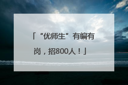 “优师生”有编有岗，招800人！
