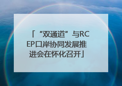 “双通道”与RCEP口岸协同发展推进会在怀化召开