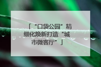 “口袋公园”精细化焕新打造“城市微客厅”