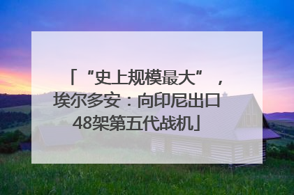 “史上规模最大”，埃尔多安：向印尼出口48架第五代战机