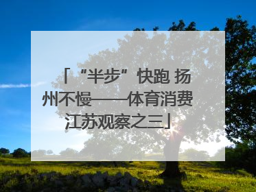 “半步”快跑 扬州不慢——体育消费江苏观察之三