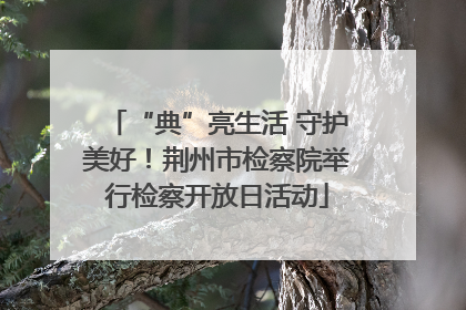 “典”亮生活 守护美好！荆州市检察院举行检察开放日活动