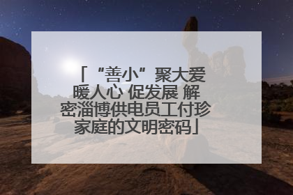 “善小”聚大爱 暖人心 促发展 解密淄博供电员工付珍家庭的文明密码