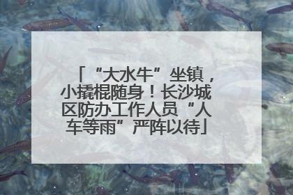 “大水牛”坐镇，小撬棍随身！长沙城区防办工作人员“人车等雨”严阵以待
