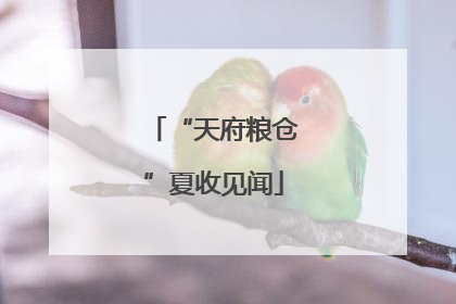 “天府粮仓”夏收见闻