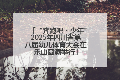 “奔跑吧・少年”2025年四川省第八届幼儿体育大会在乐山圆满举行