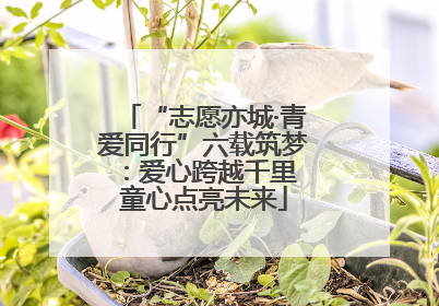 “志愿亦城·青爱同行”六载筑梦：爱心跨越千里 童心点亮未来