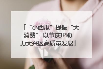 “小西瓜”提振“大消费” 以节庆IP助力大兴区高质量发展
